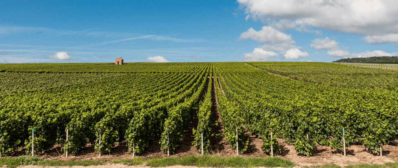 Champagne-Ardenne region guide - Gites Cottages Villas and vacation homes