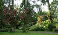 Le Jardin de Sericourt