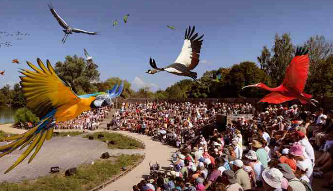 Le Parc des Oiseaux