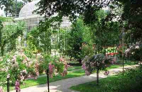 Albert-Kahn Musee et Jardin
