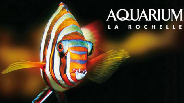 Aquarium La Rochelle