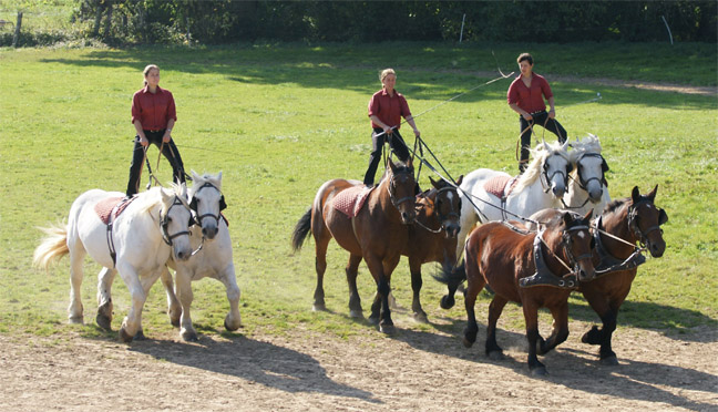 La Ferme du Cheval de Trait