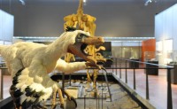 Le musee des dinosaures