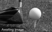 golg club and ball