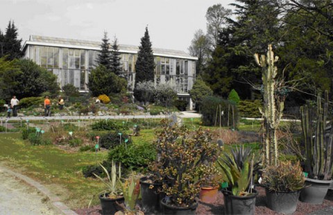 Le Jardin botanique de l'Universite de Strasbourg