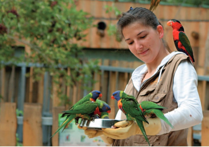 Zoo of Les Sables d'Olonne