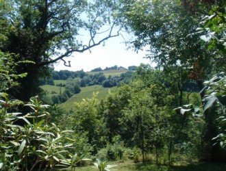 View from Levant's terrace