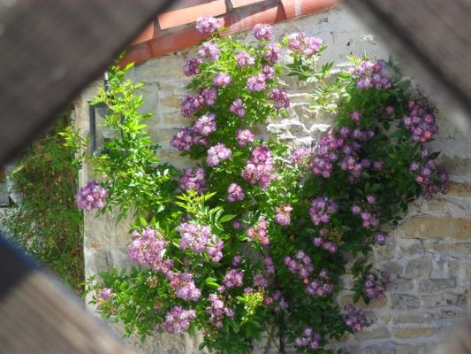 Maison du Puits Self Catering in France