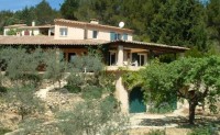 1/2 Acre terraced garden of olive trees, lavender & roses