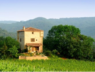 The tower and east terrace viewed from the vineyards