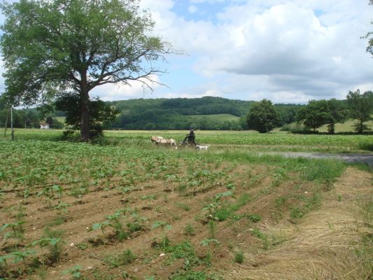 Le Gite Blanc Self Catering