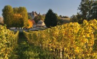 Monbazillac Chateau taken from one of its vineyards. (10 mins drive away from La Tour. Great wine tasting!
