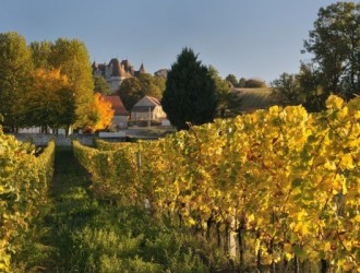 Monbazillac Chateau taken from one of its vineyards. (10 mins drive away from La Tour. Great wine tasting!
